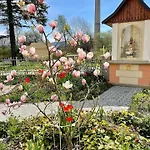 Machů 3* Kopřivnice